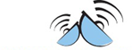Dsouza Infotainment logo