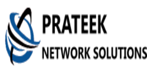 PNSfiber logo