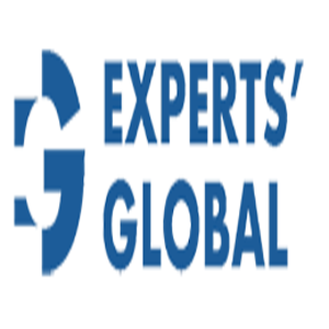 Experts global logo