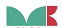 V. K. Endoscope logo