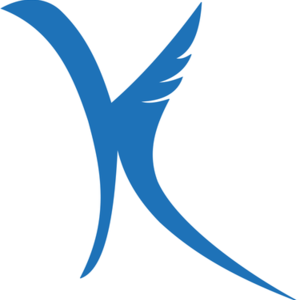 Kraft Surgicals logo