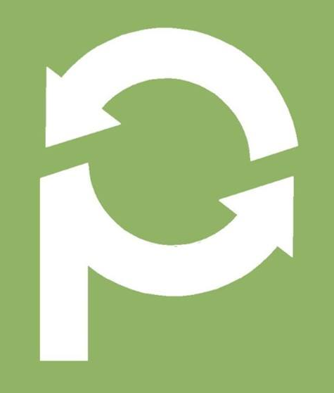 Paragon Solutions logo