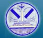 Shkavi logo