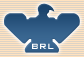 Bhoruka Roadlines logo