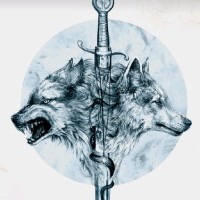 Apoorv Mishra profile photo