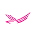 Precision Aviation logo