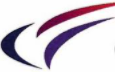 Catvision logo