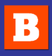 Bizaad logo