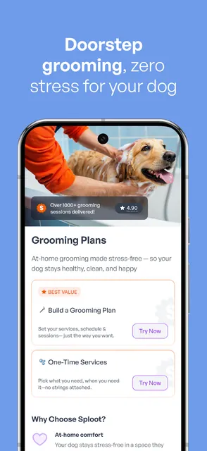 Sploot | Dog Walking, Grooming screenshot 3