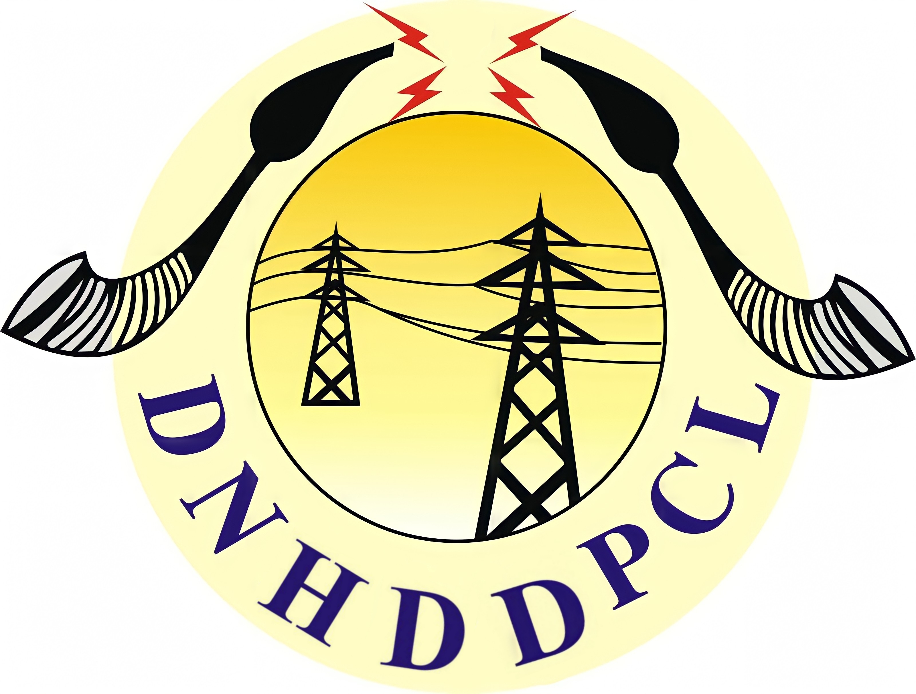 DNH and DD Power logo