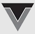 Thapar Vision logo