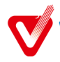 Vegith Global logo
