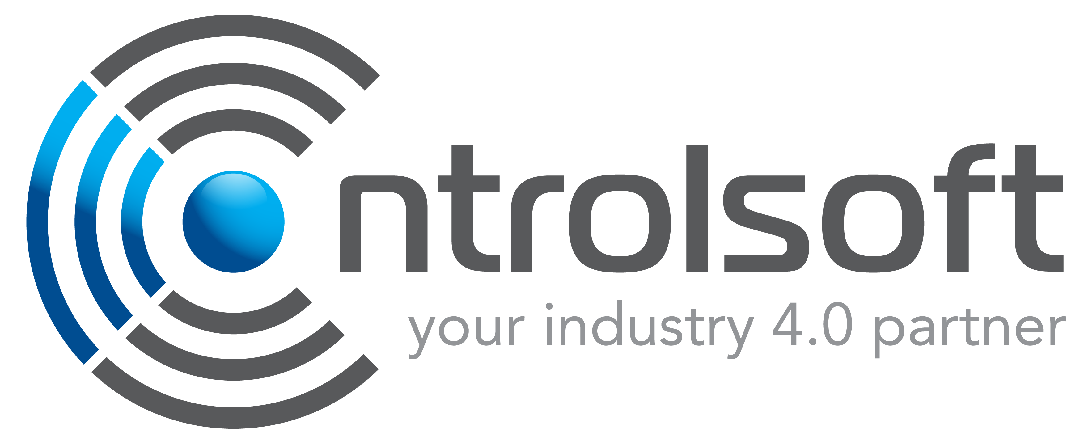 Controlsoftengg logo