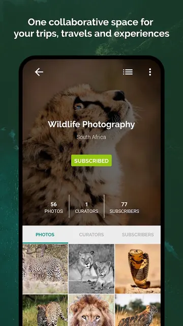 Plates - Photography Community screenshot 1