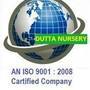 Landscape Garden Contracting Service