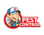 Termite Control Solution