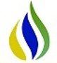 Rice Bran Oil