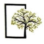 Decorative Flush Door